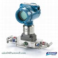 Rosemount Process Instrument Different