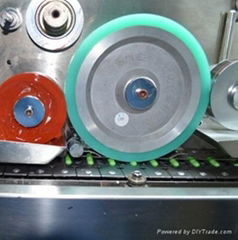 Double color hard capsule printing machine