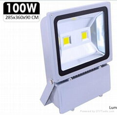 FLOOD LIGHT