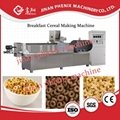 oat flakes breakfast cereals food extruder making machine 4