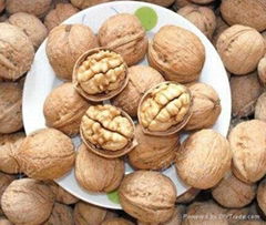 walnuts kernel