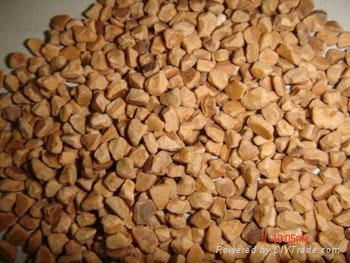 walnuts kernel 4