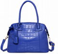 Fashion lady handbag