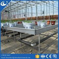 Metal Wire Growing Rolling Bench for Greenhouse