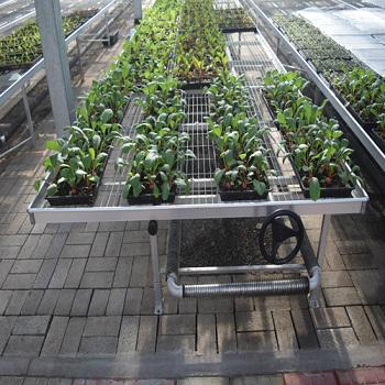 Rolling Wire Greenhouse Bench Grow Tray Ebb and Flow Table Systems 3