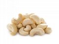 Plain White Cashew Premium nuts 2
