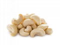 Plain White Cashew Premium nuts 1