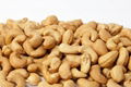 Masala Roasted Cashew Nuts by Ivory for Wholesale 1