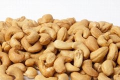 Masala Roasted Cashew Nuts by Ivory for Wholesale
