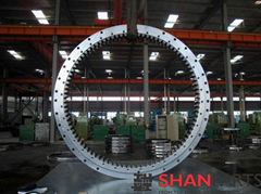 SWING BEARING FOR EXCAVATOR