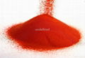 tomato powder