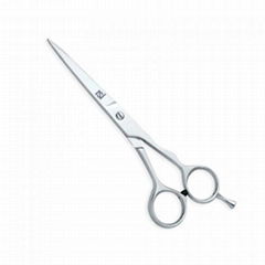 Standard hair dressing scissor