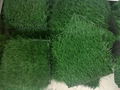 Artificial grass for football fields 3