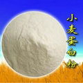 wheat protein powder feed grade 1