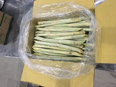 HIGH QUALITY FROZEN SUGARCANE