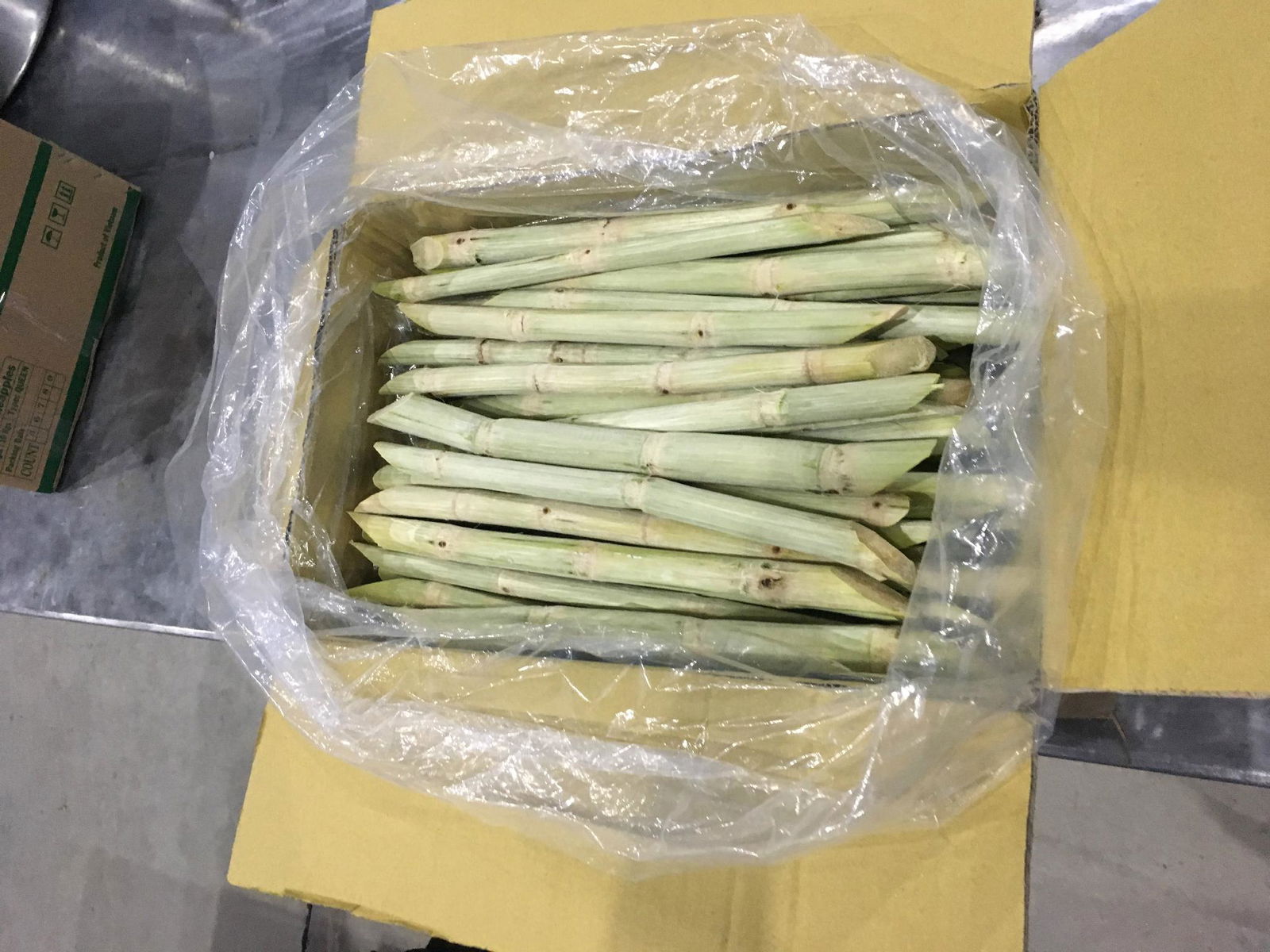 HIGH QUALITY FROZEN SUGARCANE 5