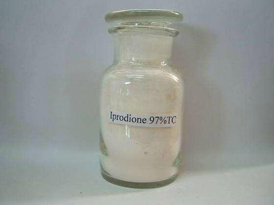 Fungicide Iprodione (96%TC, 50%SC, 50%WP, Iprodione 35% + Carbendazim 17.5% WP)
