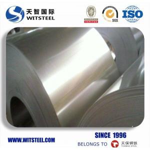 2018 Witsteel Galvanized Steel Coil with Competitive Price