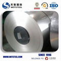 2018 Witsteel Galvanized Steel Coil with Competitive Price 2