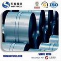 2018 Witsteel Galvanized Steel Coil with Competitive Price 3