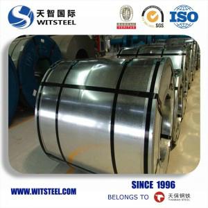 2018 Witsteel Galvanized Steel Coil with Competitive Price 4