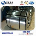 2018 Witsteel Galvanized Steel Coil with Competitive Price 4