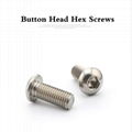 Titanium Fastener 1