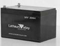 36v 20Ah LiFePO4 battery for electric