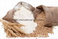 Sell Wheat flour premium (top, highest, high quality) grade/class 1