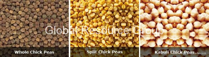 Chick Peas