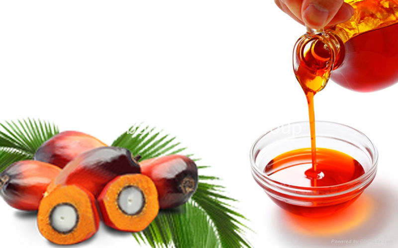 Refined Palm Oil SRPO (United Arab Emirates Trading Company) Plant