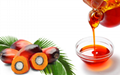 Refined Palm Oil 1