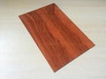  hpl phenolic compact laminate board 1