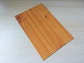  hpl phenolic compact laminate board 3