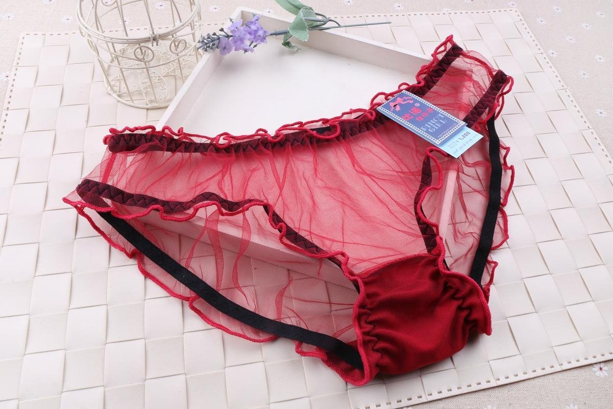 Women Transparent Sexy Underwear Lady Cute Breathable Lingerie Panties 5