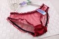 Women Transparent Sexy Underwear Lady Cute Breathable Lingerie Panties 5