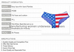 New girls lace underwear image the Star-Spangled Banner design sexy woman panty