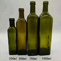 Olive oil bottle 1