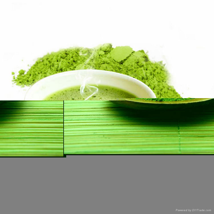 Green Tea Extract 30% tea Polyphenol 2