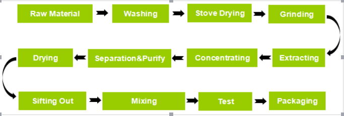 Grape Seed Extract 2