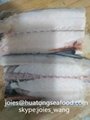 2017 frozen spanish mackerel WR BQF for market  2