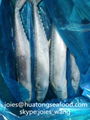 2017 frozen spanish mackerel WR BQF for market  3