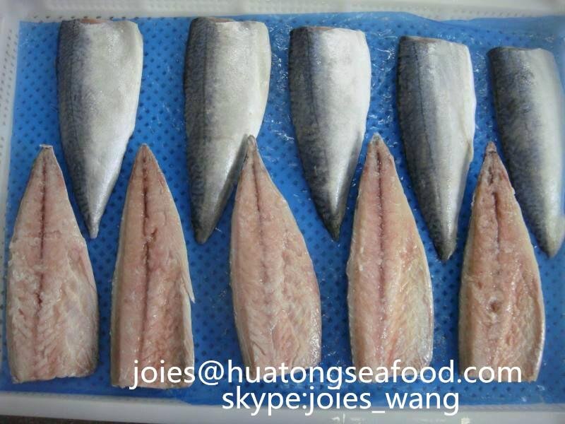 selling cheap pacific mackerel fillet for market