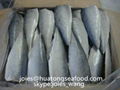 selling cheap pacific mackerel fillet for market 2