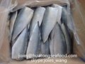 selling cheap pacific mackerel fillet for market 5