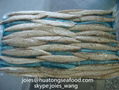 selling cheap pacific mackerel loin for