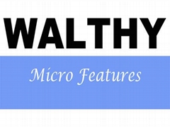 Walthy Precision Co., Ltd Walthy Precision Co., Ltd