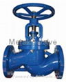 DIN globe valve