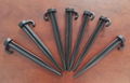 Plastic tent stakes pegs 1