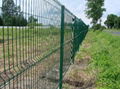 Welded Wire Mesh Fence 3